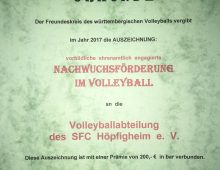 Auszeichnung für die Volleyball-Jugendarbeit überreicht